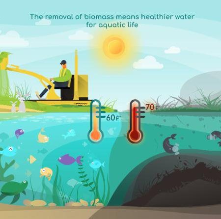 Healthy Water with Weedoo