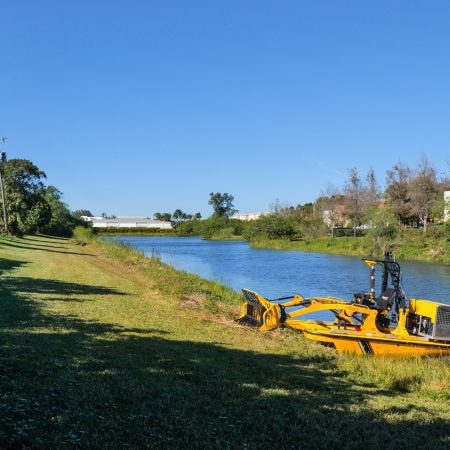 Lakeweed cleanup