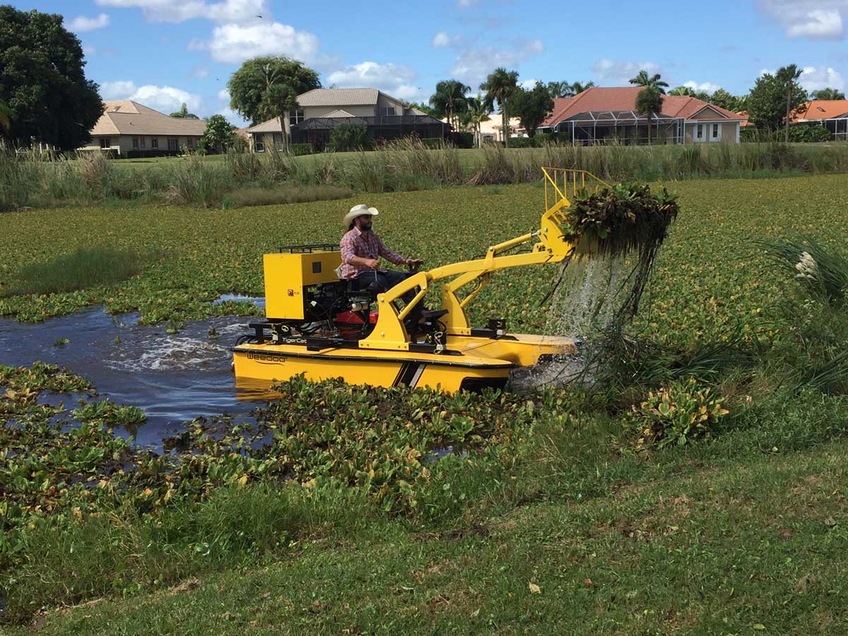Pond Cleaning Services