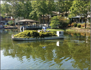 Weedoo - Science Worst Water Weeds: Hydrilla