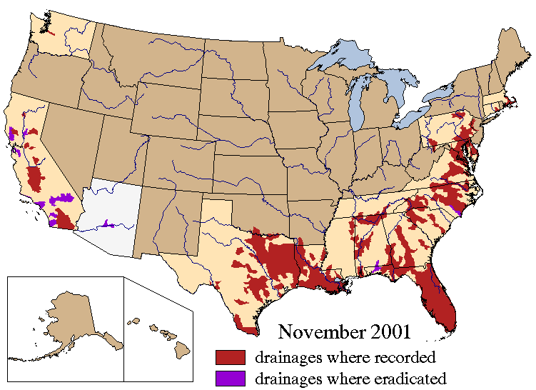 Weedoo - Science Worst Water Weeds: Hydrilla