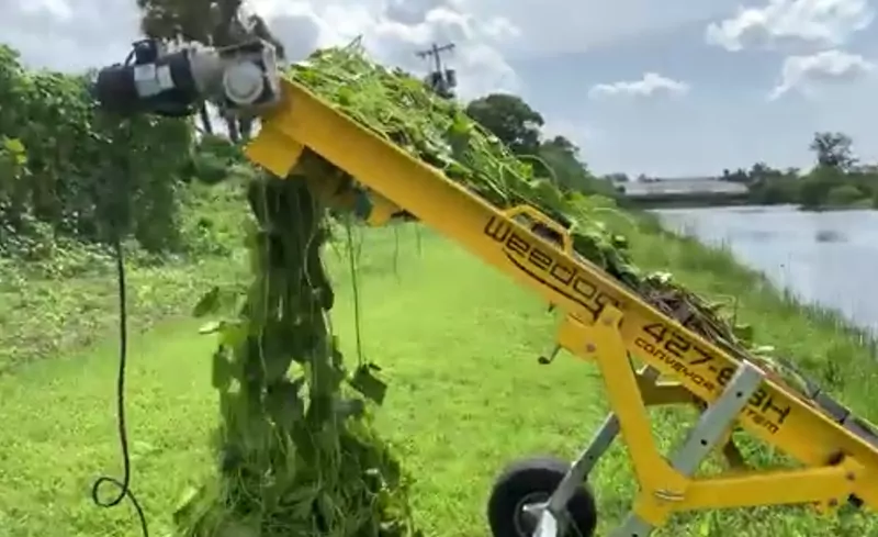 Weedoo - conveyor-427