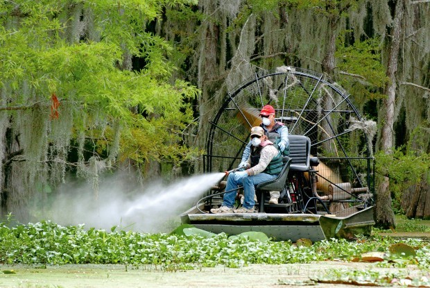 Weedooboats - Mechanical Harvesting Versus Chemical Herbicides