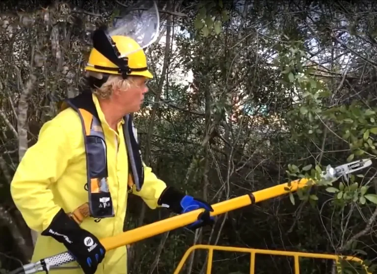 Weedoo - hydraulic-pole-saw