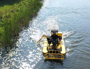 Cattail Maintenance