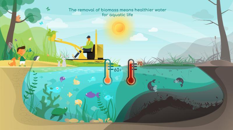 Weedoo boats- aquatic weed harvester