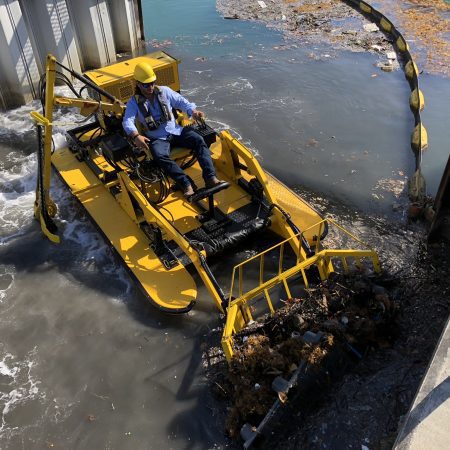 Power Plant Weed Removal