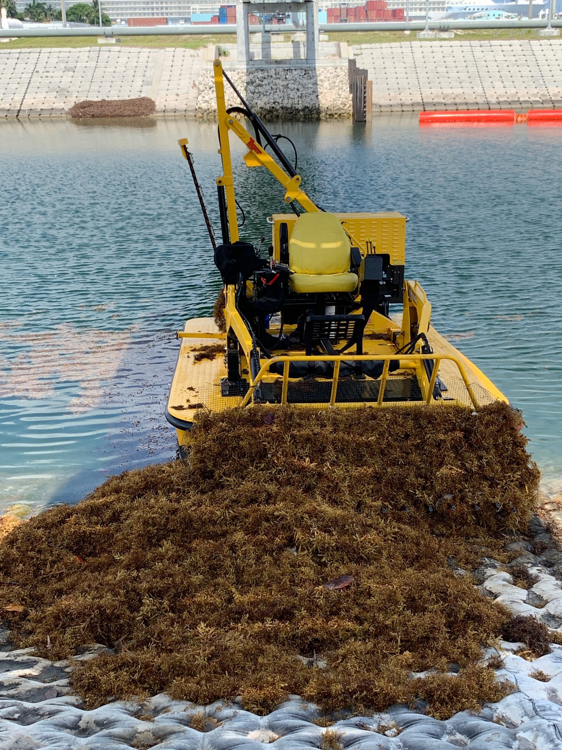 sargassum cleanup