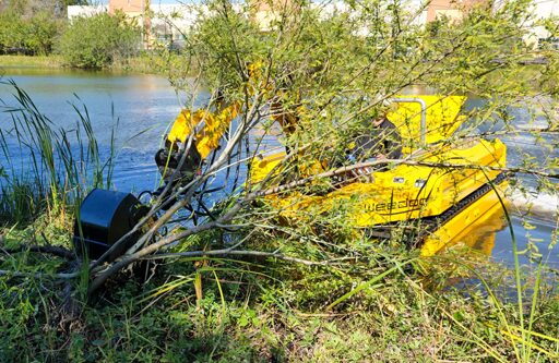 Weedooboats - Tree-Removal-scaled