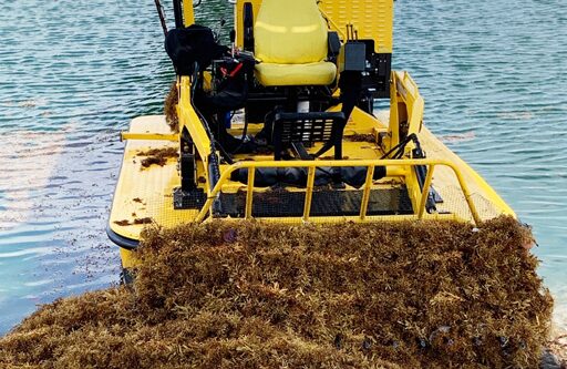 Weedooboats - Science sargassum removal