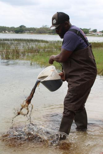 Raymond Carter pours a treatment of microorganisms along the coastline of the beach he just removed weeds from to eliminate organic waste matter in the lake.