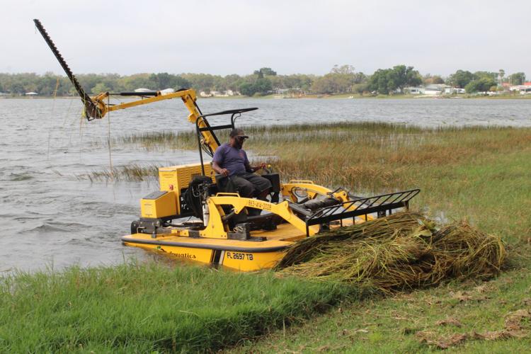 Weedoo operator Raymond Carter brings the cut weeds to the shore after he harvested them8 on Wednesday from a lakefront in Sebring. Carter works for SF Aquatics of Sebring.