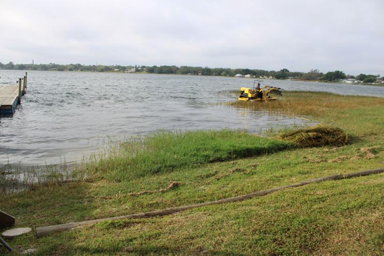 Robert Carter with SF Aquatics clears weeds with the Weedoo. This is what the beach area of the lake in Sebring looked like before the company started the project on Wednesday.