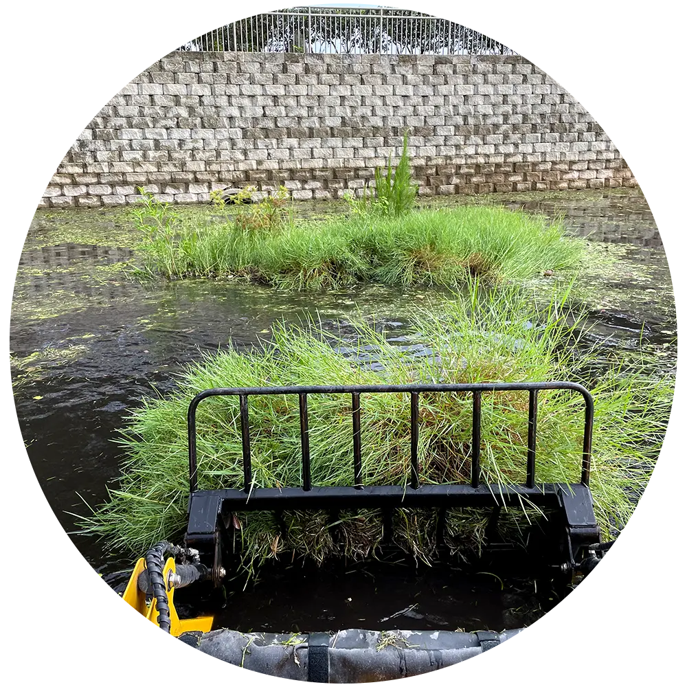 Weedooboats - lake rake for weeds