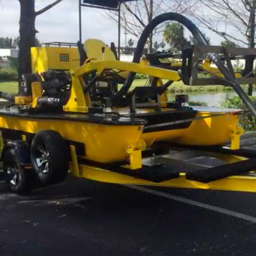 Weedooboats - Copper Sulfate Toxicity in Aquatic Ecosystems