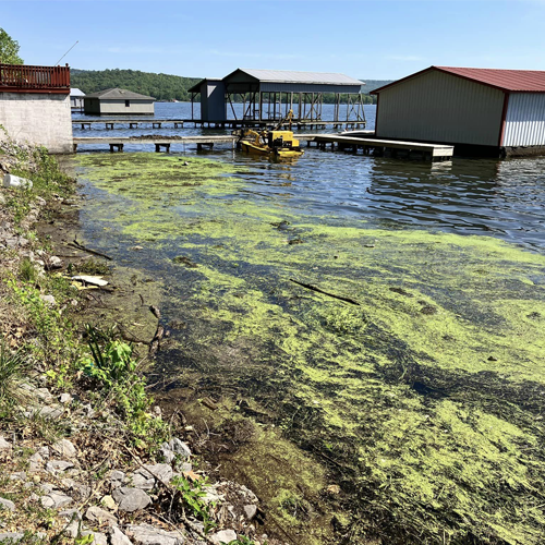 Weedooboats - Herbicide Resistance in Hydrilla Verticillata and Other Aquatic Plants